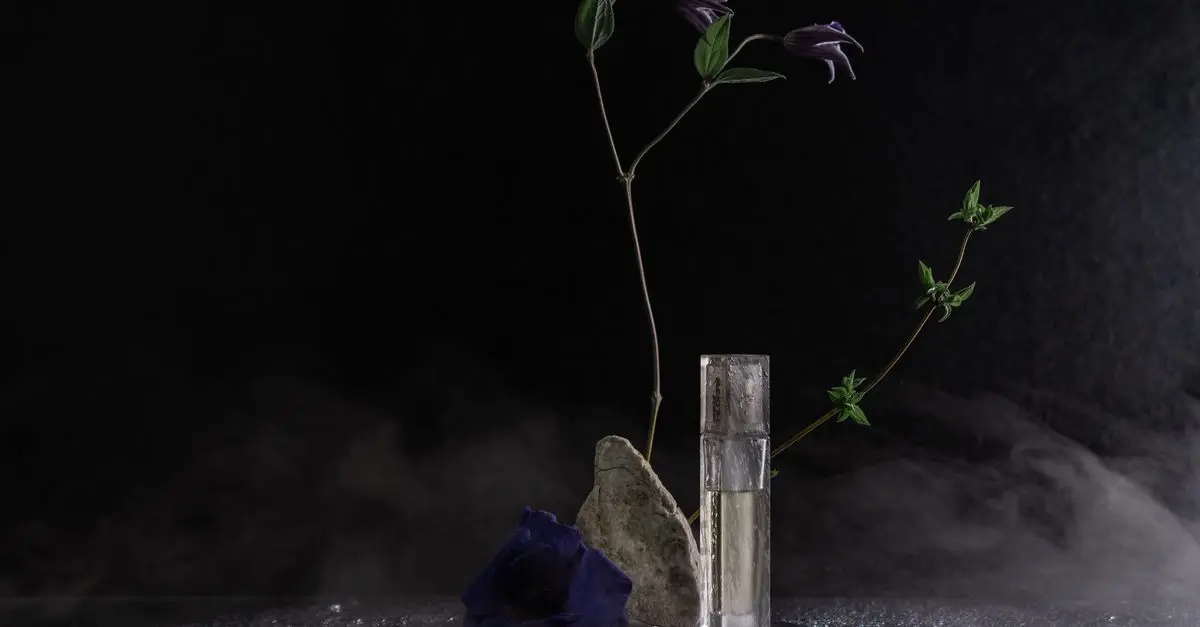 Derniers parfums tendance pour lui et elle