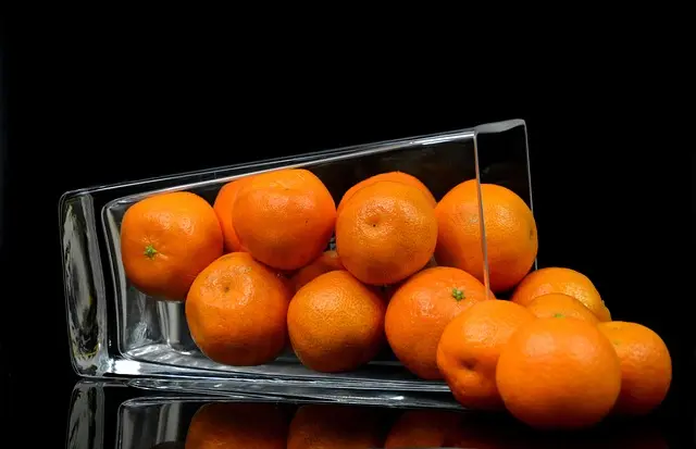 Les Merveilles des Liqueurs Artisanales : Un Voyage Sensoriel