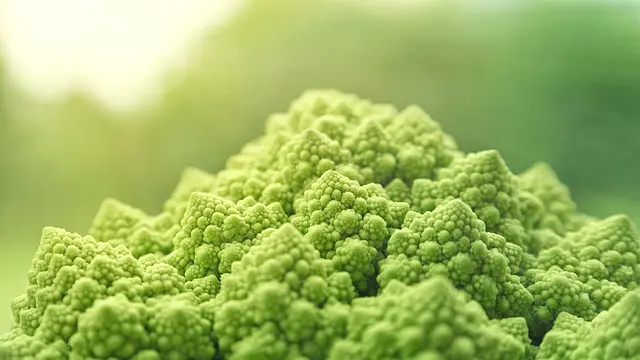 Vegan Lifestyle Tips: How to Embrace Plant-Based Living