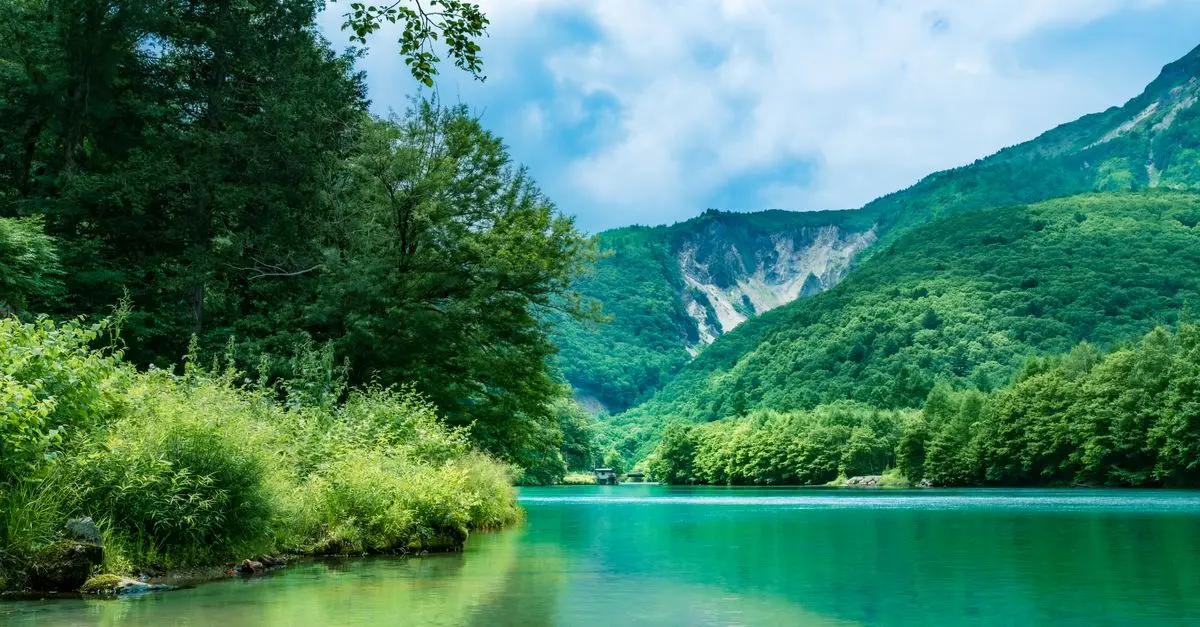 Les 10 Meilleures Destinations pour Vos Expéditions Nature
