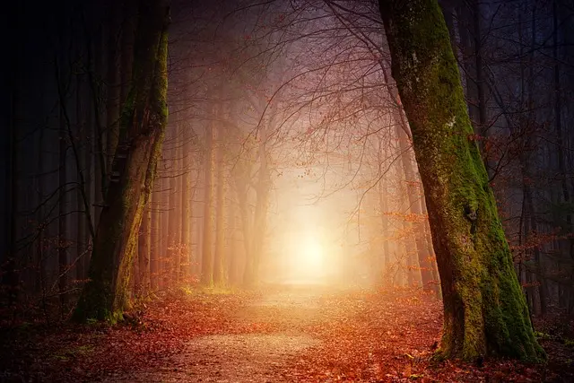 5 Proven Steps to Craft Your Unique Path to Success