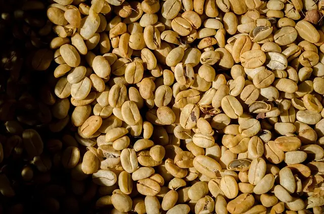 Comment choisir la meilleure cafetière à capsules pour votre café