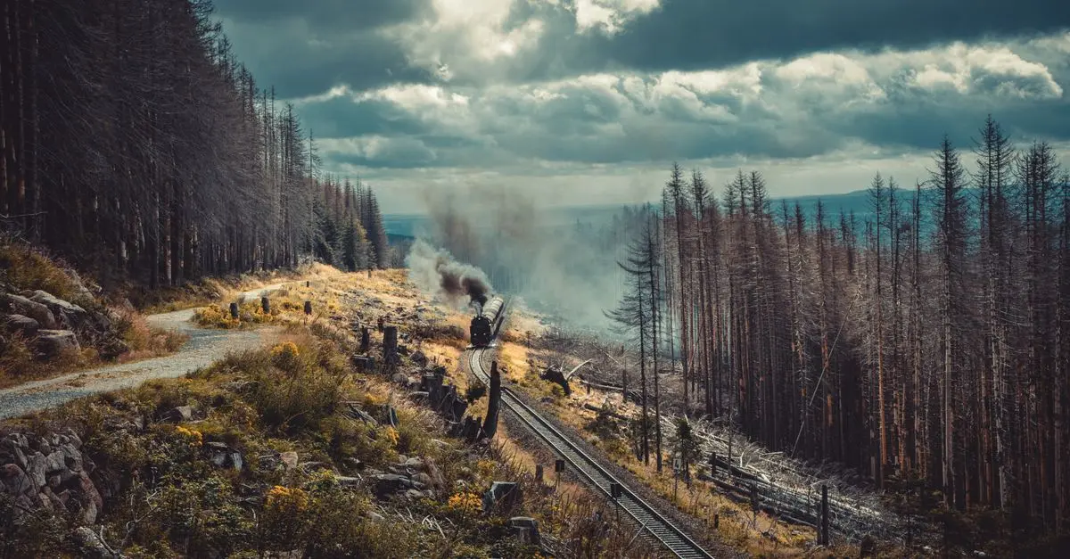 Comparatif des moyens de transport Canada vs Australie