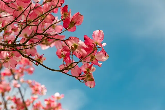 Comment bien préparer votre remorque agricole pour le printemps