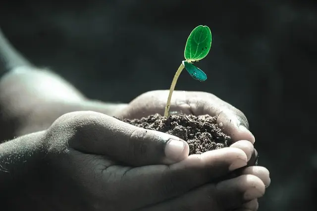 Comment Choisir le Projet de Nouvelle Vie Qui Vous Correspond