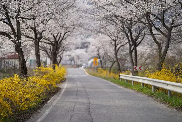 10 Tips for a Perfect Spring Travel Getaway