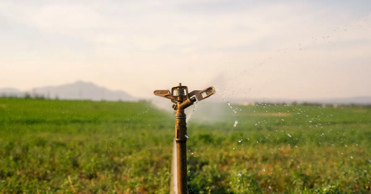 Comment intégrer un système d'irrigation durable dans votre jardin