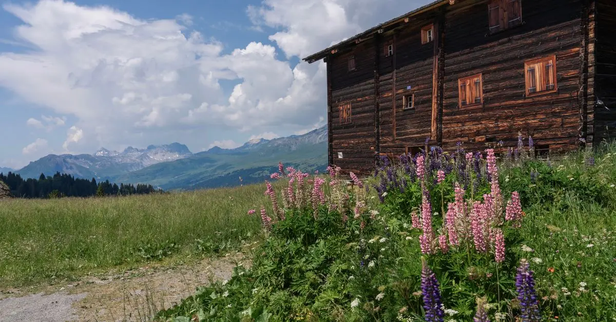 Les meilleures expériences authentiques à vivre en Suisse