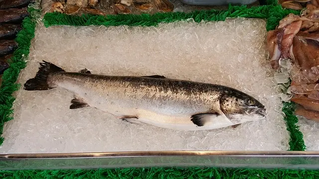 5 erreurs à éviter pour bien choisir son poisson frais
