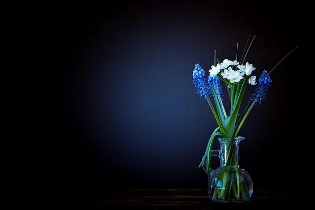 10 astuces pour conserver vos fleurs CBD pur en parfait état