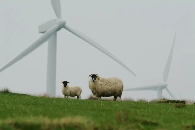 Comment l'agriculture régénérative transforme notre avenir