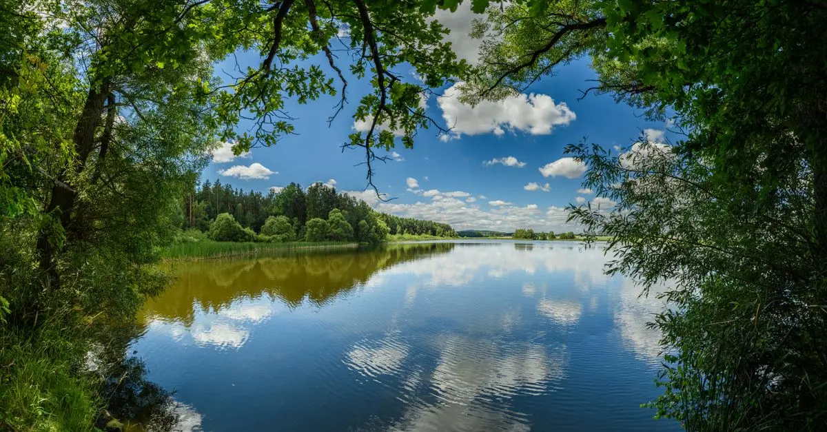 Comment la nature peut améliorer votre relaxation au quotidien