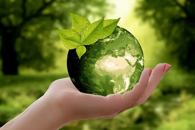 Sustainable Business Practices Guide