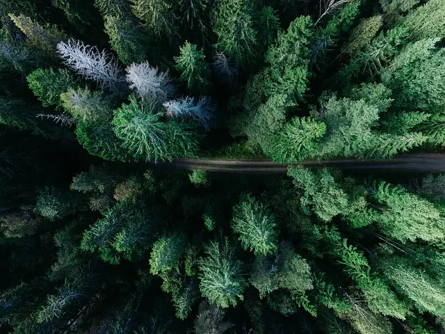 Les Éco-Destinations à Découvrir pour Voyager Écologiquement