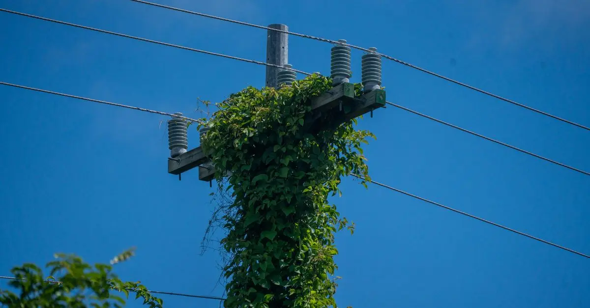 Comment Choisir un Équipement Électrique Écologique et Efficace
