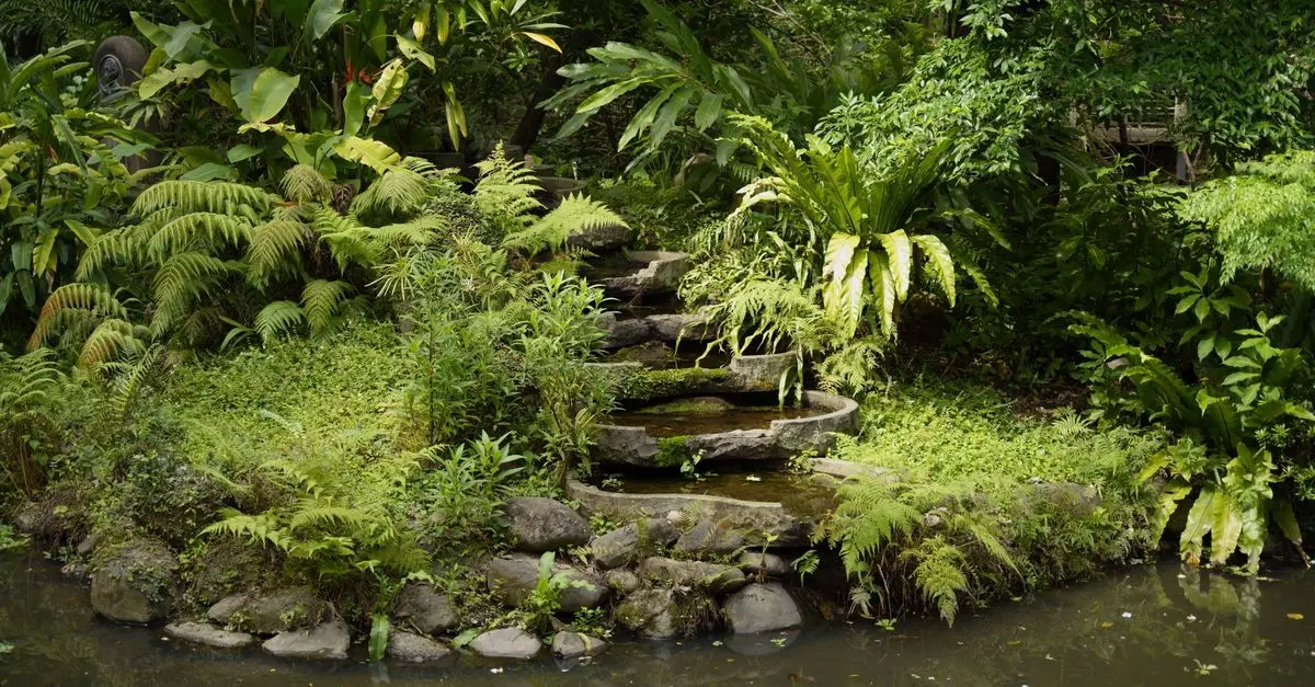 Comment créer un jardin durable et respectueux de l'environnement