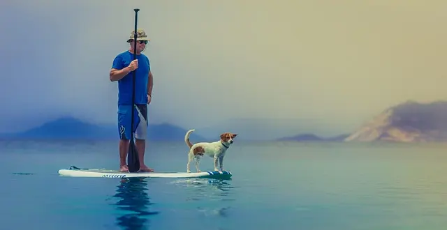 How to Build a Welcoming Pet-Friendly Network in Your Community