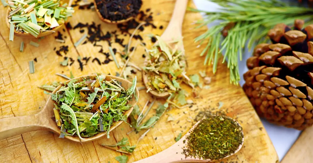 Top 7 des infusions pour une bonne hydratation