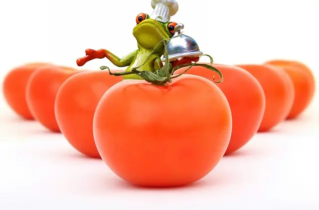 Comment intégrer des repas préparés dans votre plan d'alimentation saine