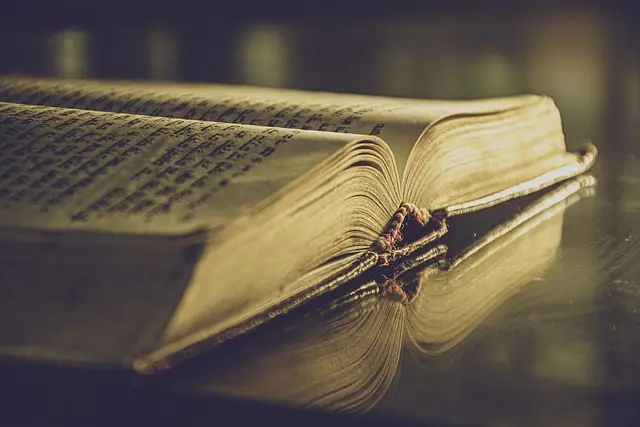 Cómo aprovechar el storytelling para impulsar la compartición