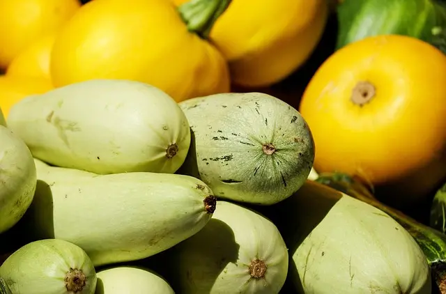 Comment réussir la vente de votre production bio