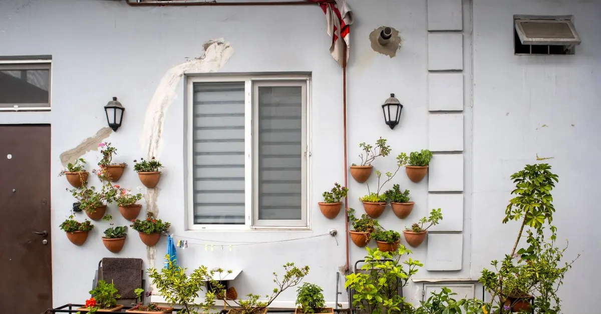 Come Creare un Giardino Verticale Fai-da-te in Pochi Passi