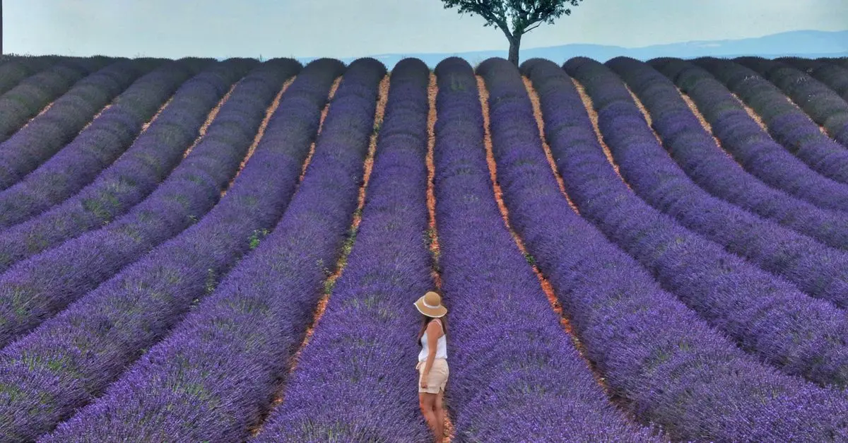 Les Meilleures Fermes pour un Séjour en Agrotourisme