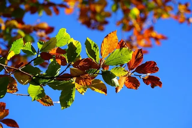 Les plus belles villes du monde à découvrir cet automne
