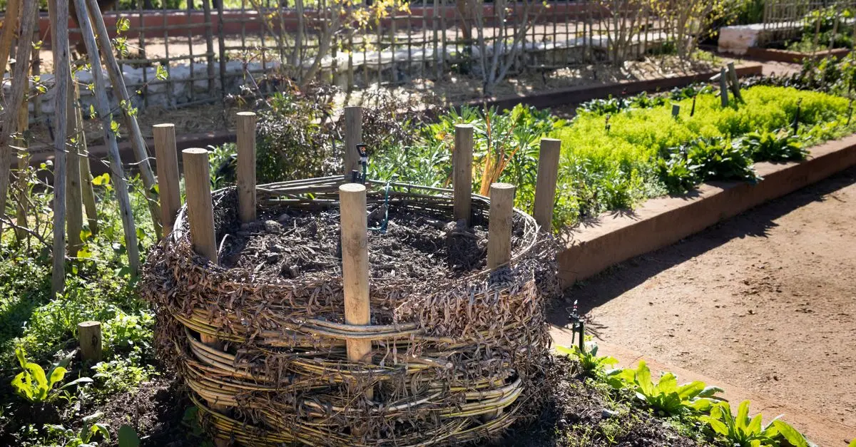 Comment Aménager un Jardin Écologique : Guide Pratique
