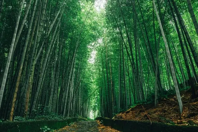 À la découverte des itinéraires insolites en pleine nature