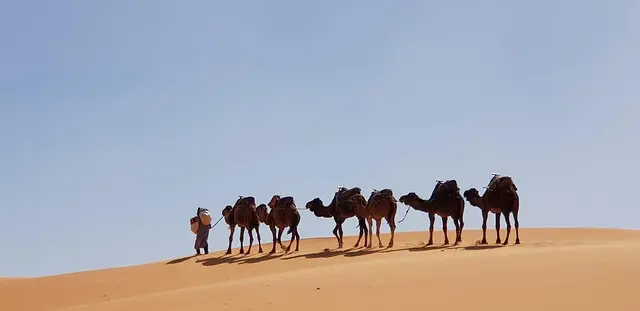 Les meilleures astuces pour choisir son matériel de plongée