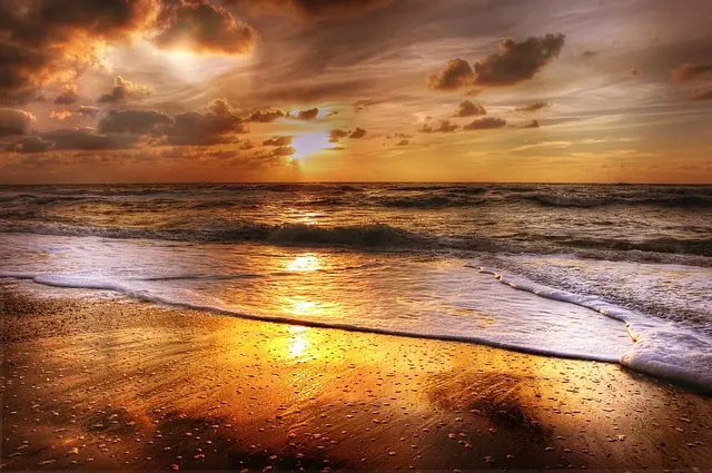 Essential Steps to Master Photography Techniques