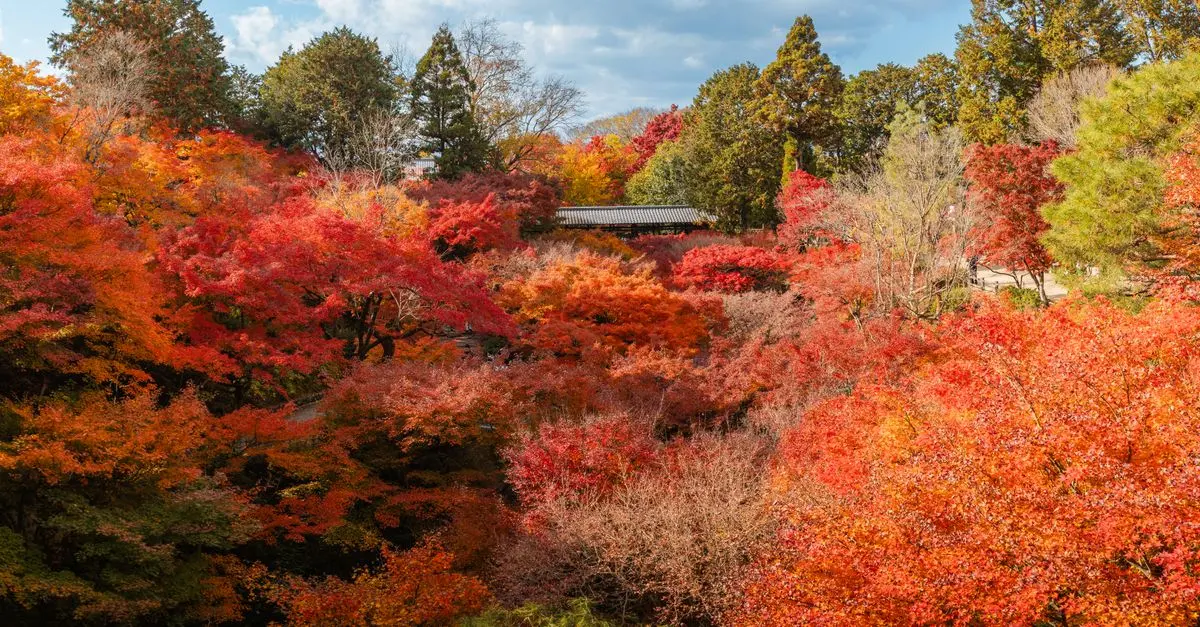 Descubre los Mejores Destinos Únicos para Viajar en Otoño