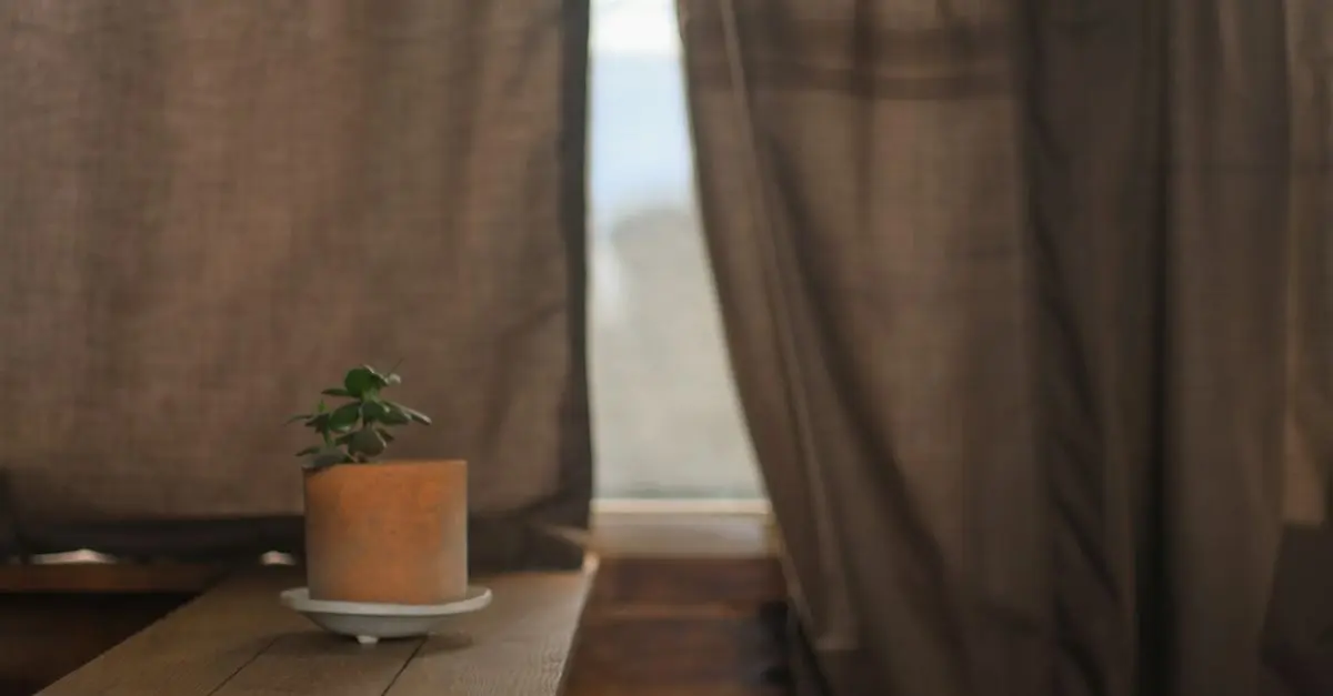 Comment Pratiquer le Bilan de Bien-Être pour un Équilibre Zen