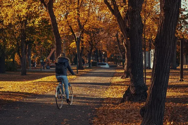 10 Activités de Plein Air Incontournables à Faire en Famille