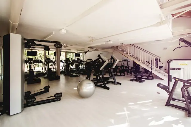 Guía de compra de las mejores máquinas de cardio 2026