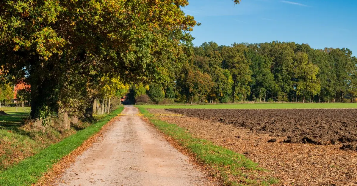 Les itinéraires insolites à travers la France à découvrir