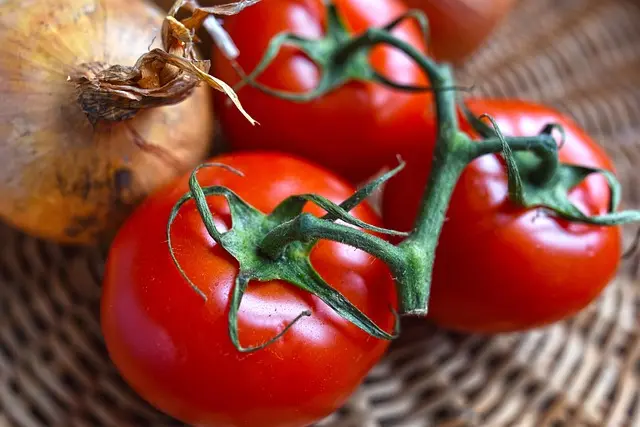 Comment ajuster votre plan d'alimentation saine pour un mode de vie actif