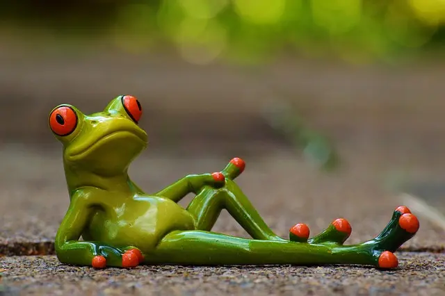 Les bienfaits surprenants de la relaxation en pleine nature