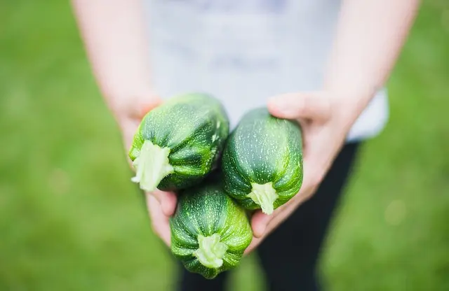 Les 10 Légumes Indispensables à Cultiver dans Votre Potager