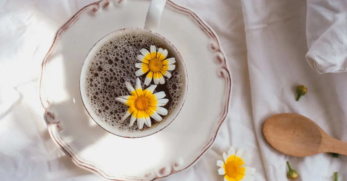 Les 10 Plantes Médicinales Efficaces pour Combattre l'Insomnie