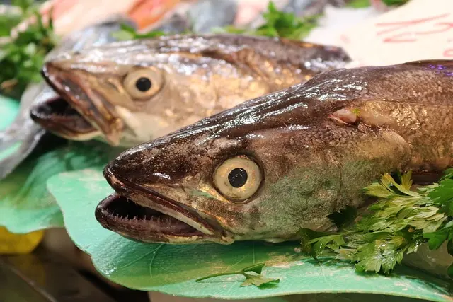 Comment reconnaître un poisson frais : Guide pratique