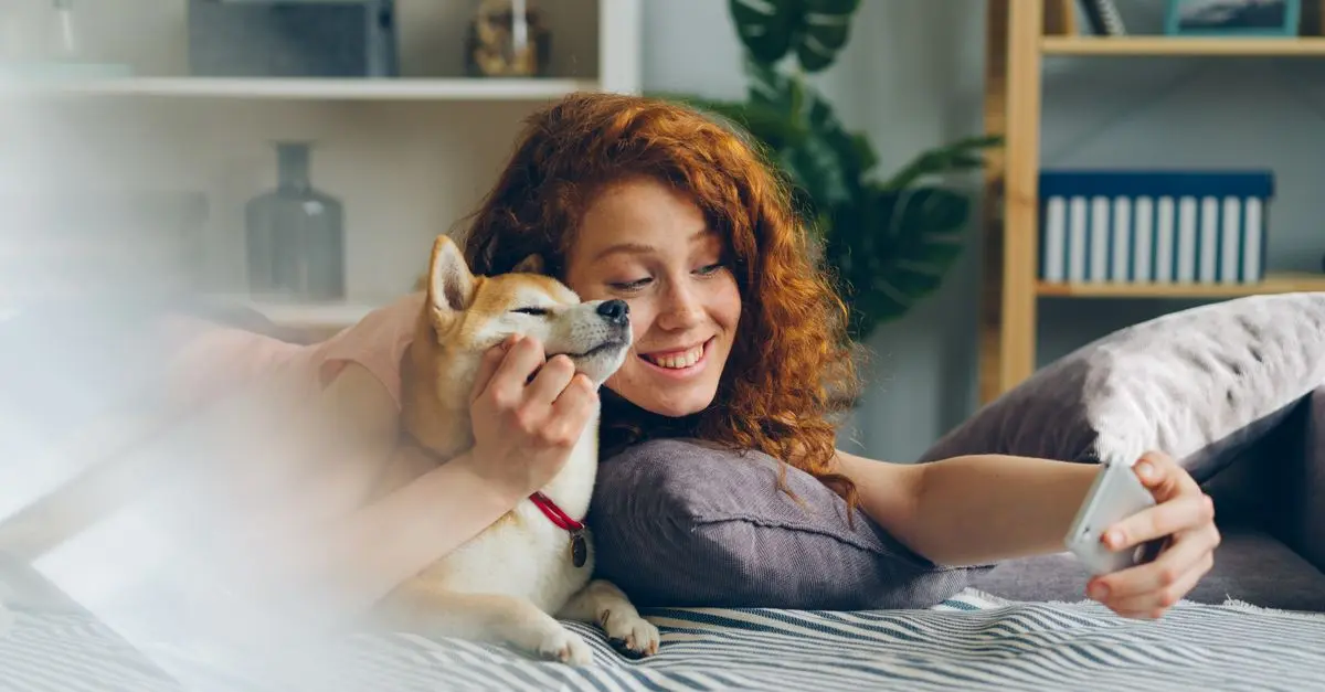 Understanding Animal Welfare: Key Aspects Explained