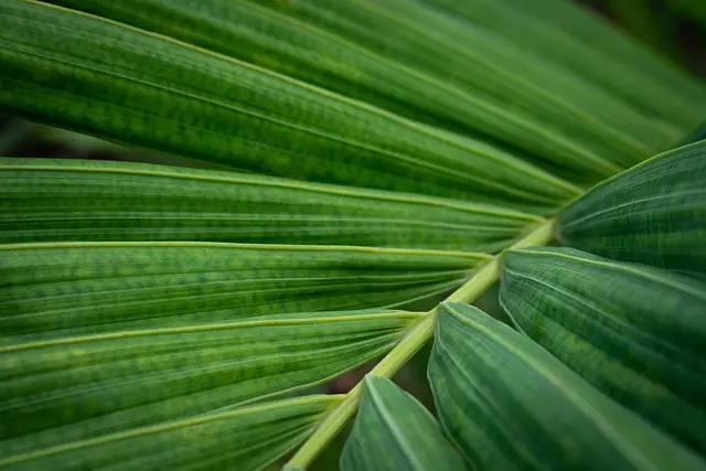 Comment choisir des imprégnants bio pour votre jardin