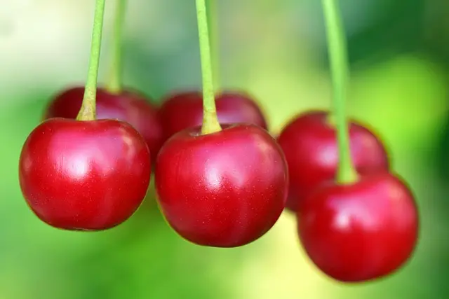 Comment choisir des emballages écologiques pour vos produits bio