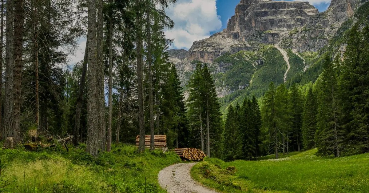 Les itinéraires insolites à explorer pour une aventure audacieuse