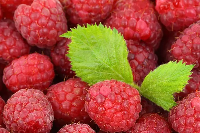 Les Aliments Clés Pour Optimiser Vos Courses Rapides