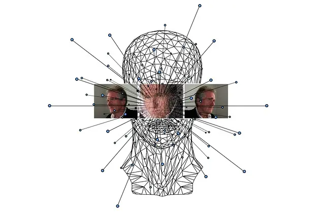 Comment fonctionne le Machine Learning : Guide complet