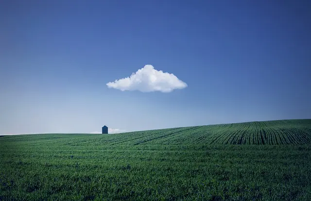 Comment Choisir un Semoir Agricole pour Maximiser votre Récolte