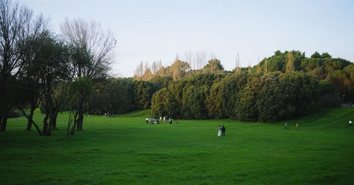 Top 10 Benefits of Outdoor Leisure Activities for Mental Health